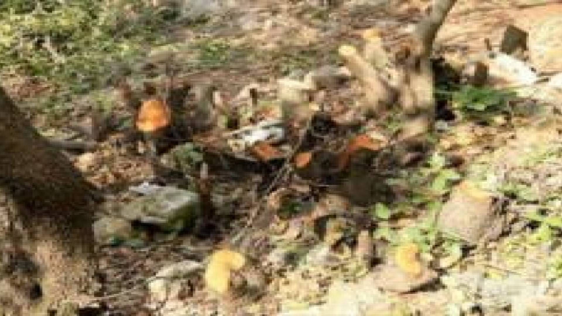 خط ساخن للابلاغ عن الاعتداءات الحرجية