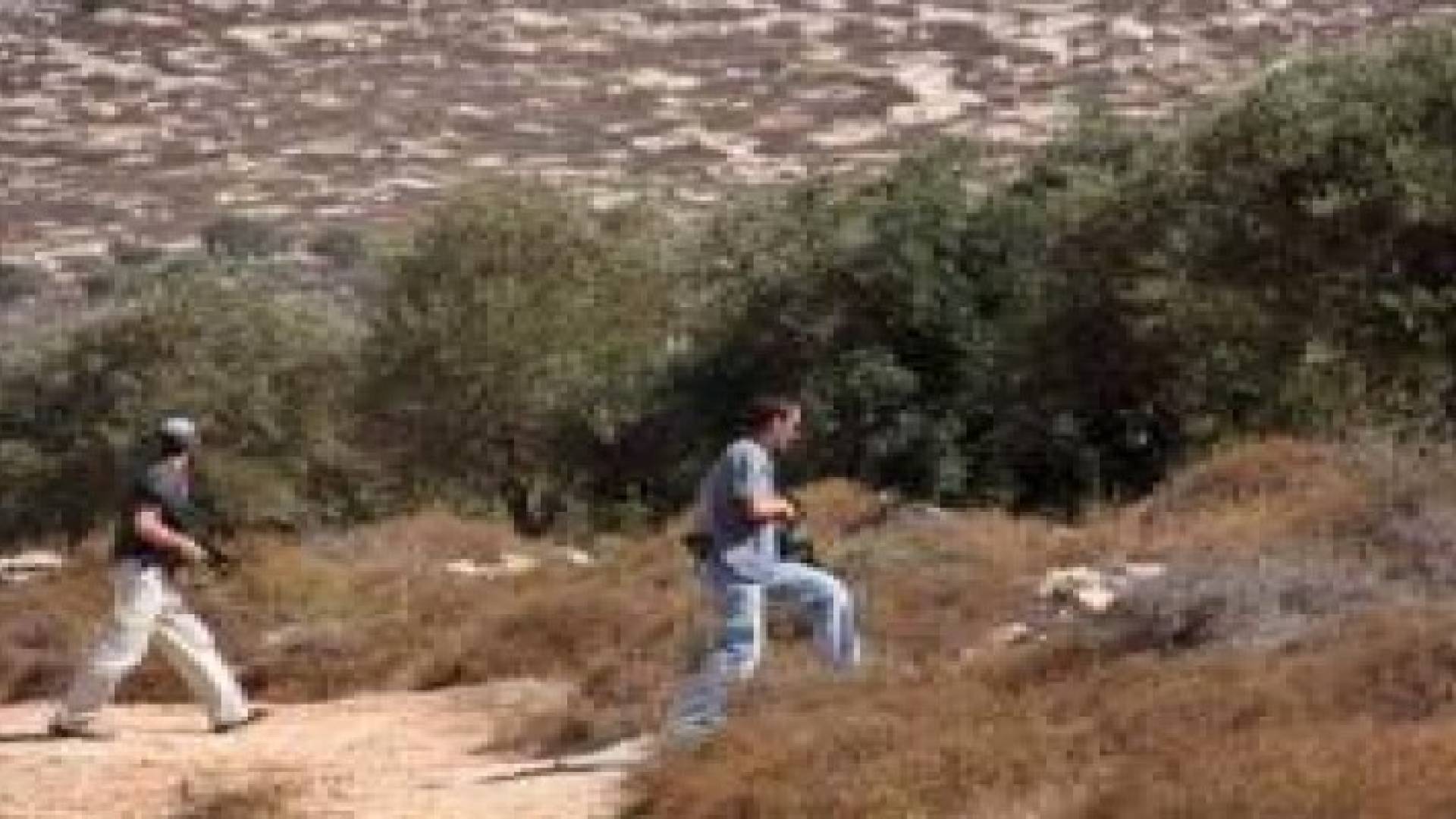 مستوطنون متطرفون يهاجمون قاطفي الزيتون جنوب نابلس