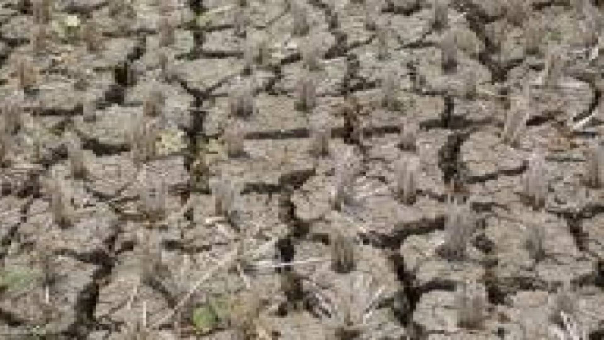 الأمم المتحدة تحذر من "حرارة أشد" في 2016