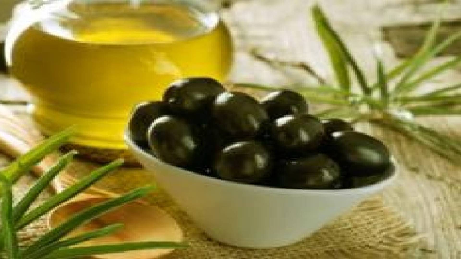 الزيتون.. تنوع في الأشكال والفوائد