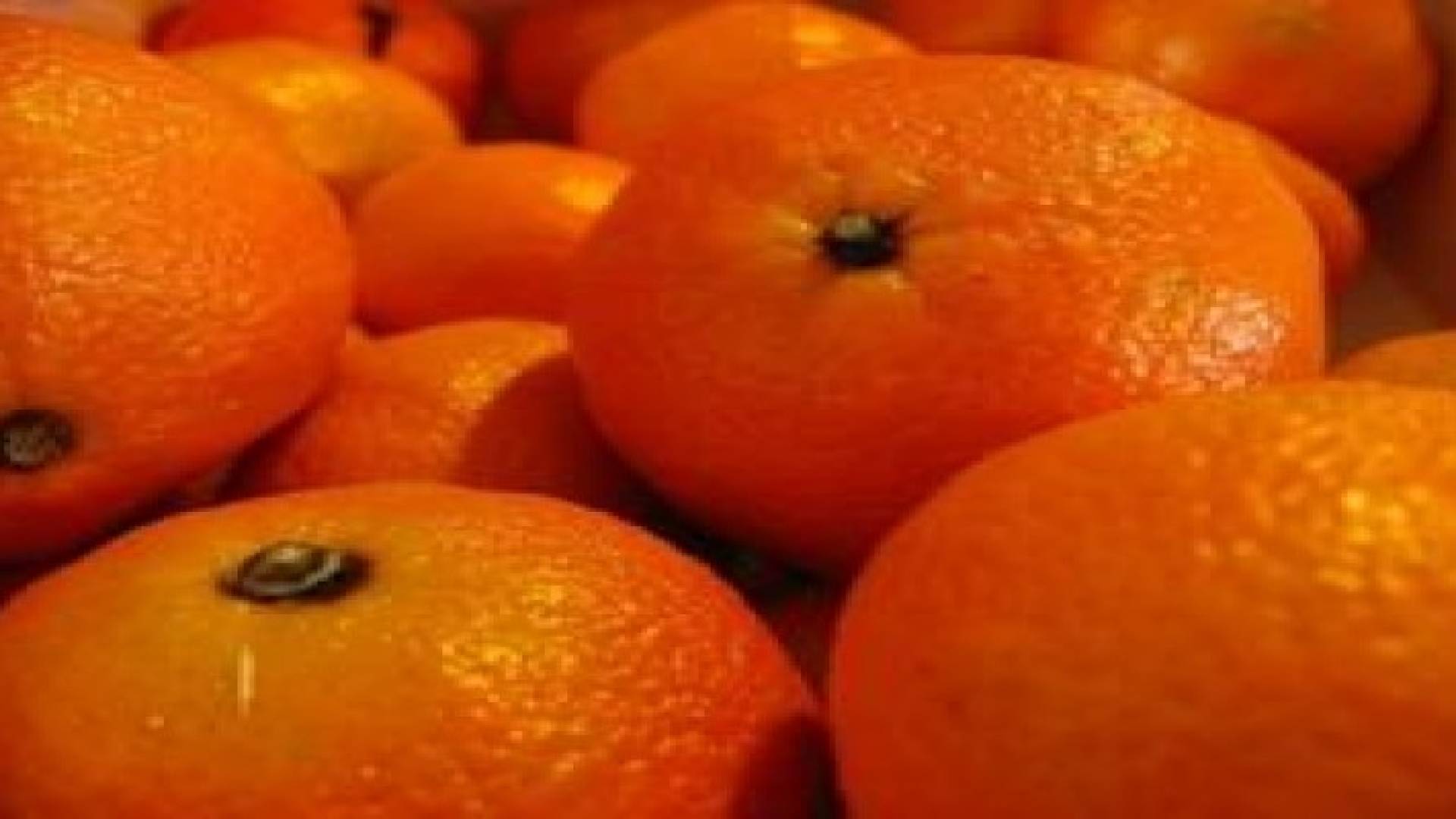 ما فوائد اليوسفي والكليمنتينا؟