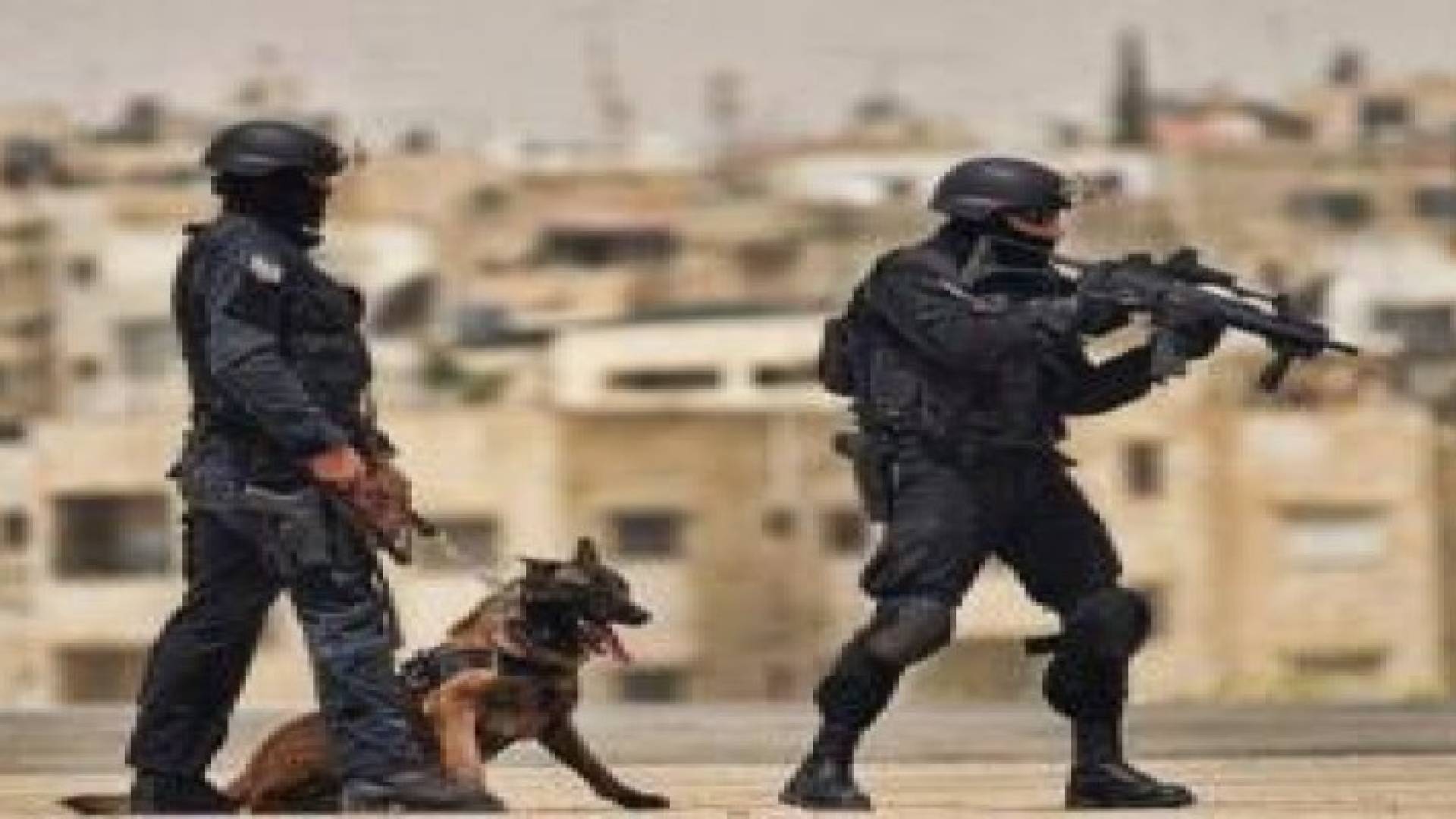 القبض على 24 شخصا في حملة على مروجي المخدرات في سحاب