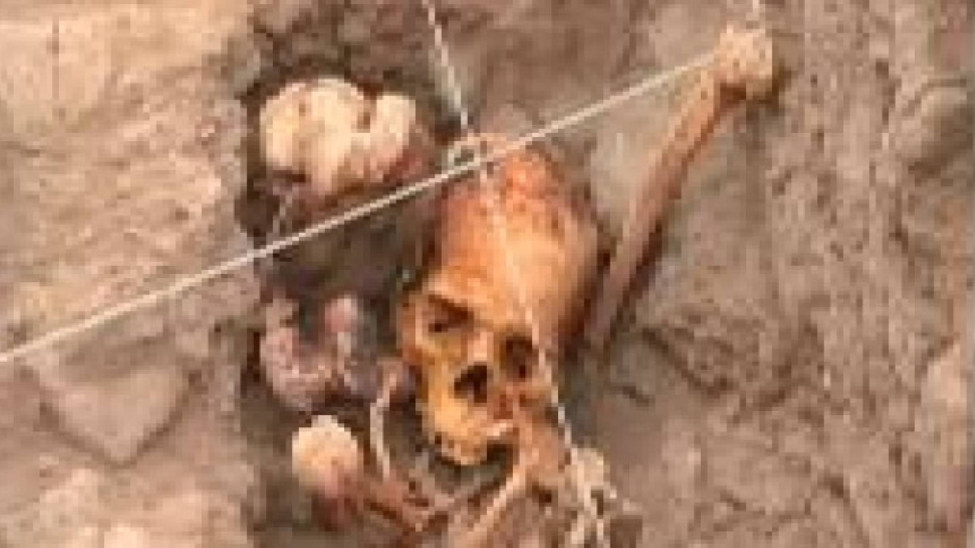 "قبر أثري".. وطريقة دفن فريدة