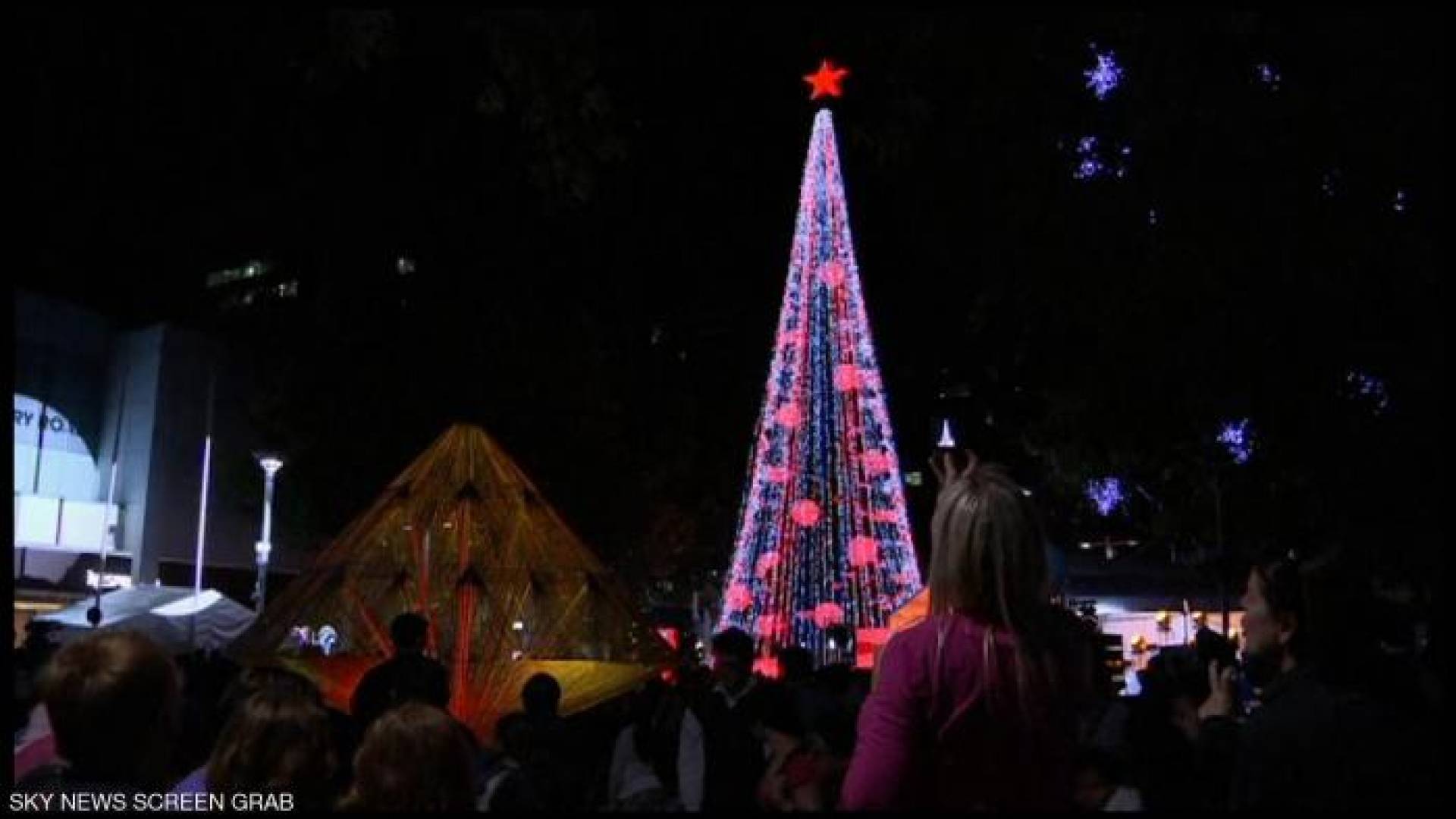 نصف مليون مصباح على شجرة كريسماس