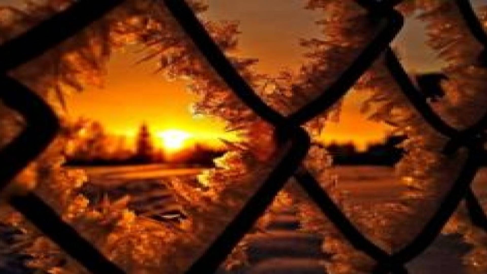 بدءا من الجمعة.. موجة سيبيرية جافة شديدة البرودة تؤثر وتحذيرات جدية للمزارعين