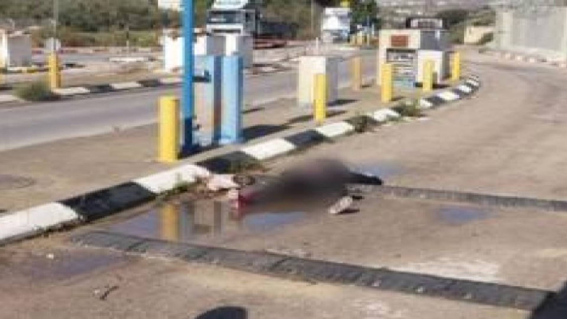 مرام حسونة.. لبست ثوب الشهادة بذكرى اعتقالها