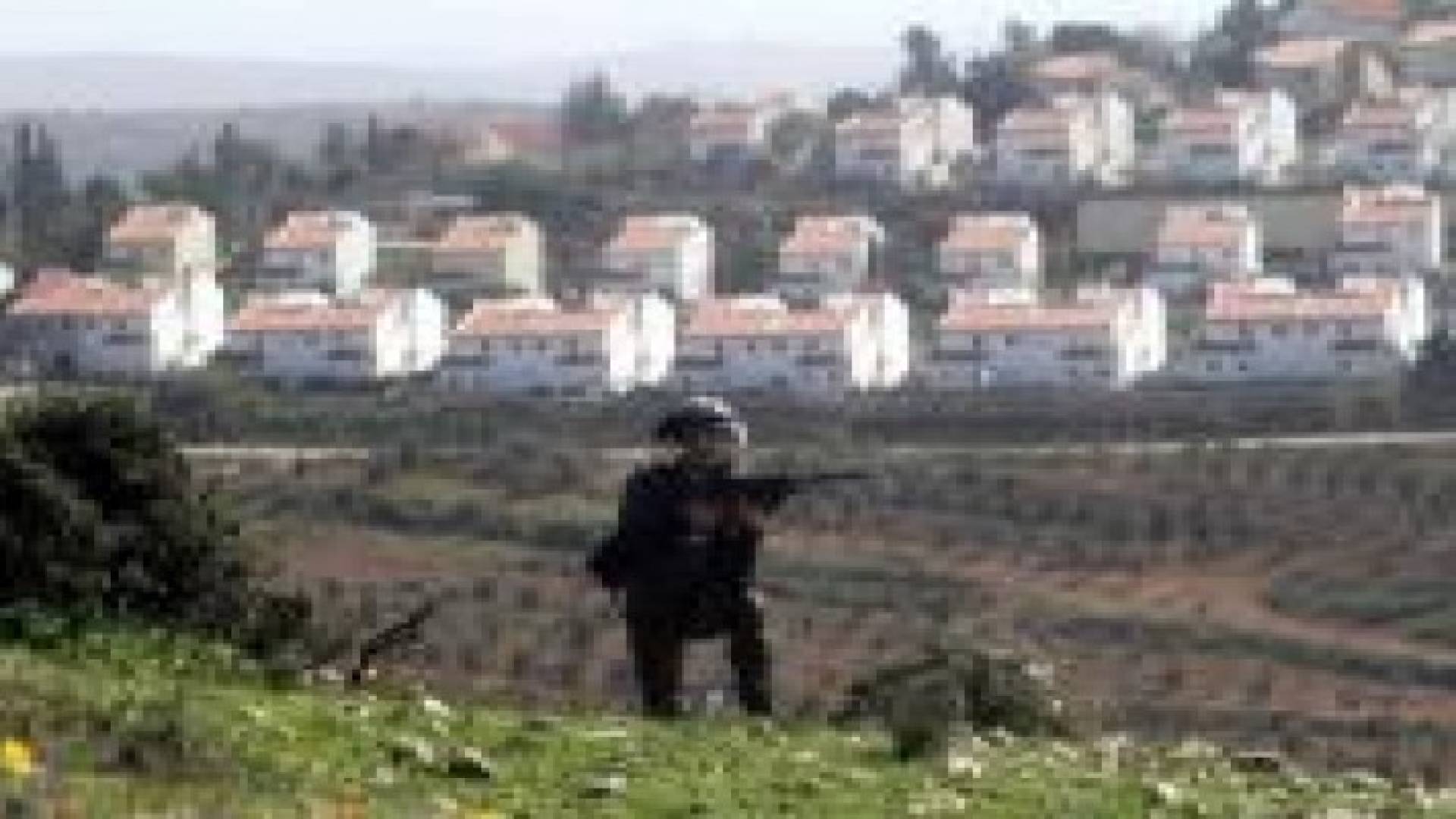 الاحتلال يقرر مصادرة 244 دونم من بلدة صوريف شمال غرب الخليل