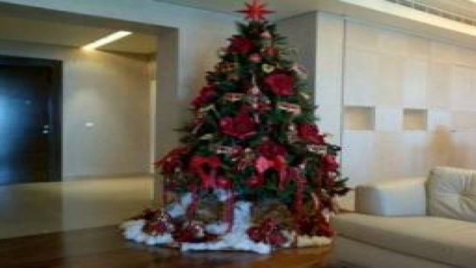 شجرة عيد الميلاد تضيء في جمعية الهلسة في دابوق