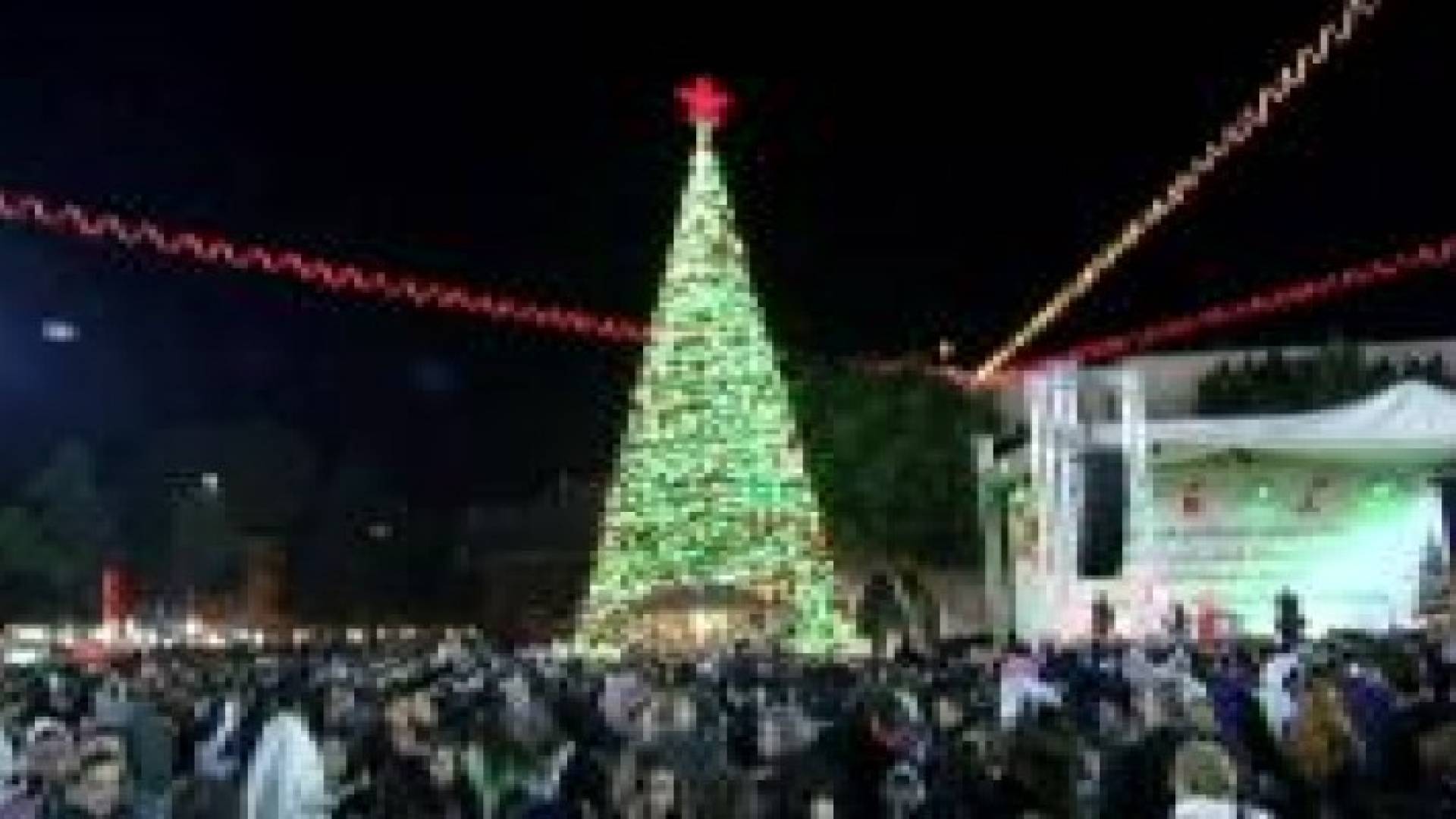 بيت لحم تشعل أضواء شجرة الميلاد