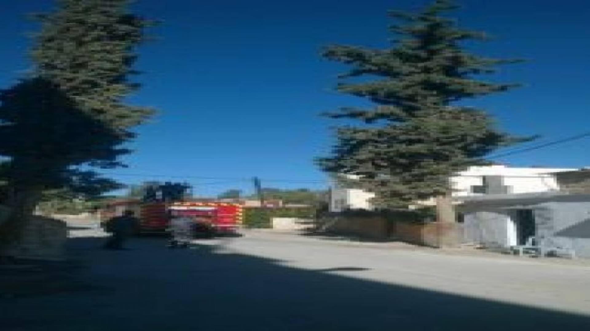 دفاع مدني جرش ينقذ قط علق على شجرة .. صورة