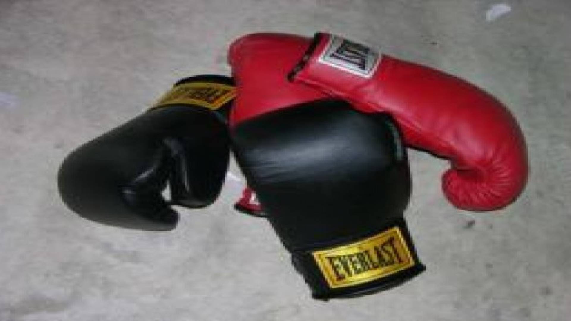 منتخبا الملاكمة للرجال والشباب يباشران تدريباتهما