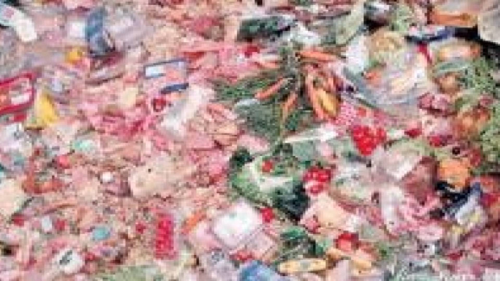 فتاة ذكية تخلص أميركا من مشكلة تبذير الطعام