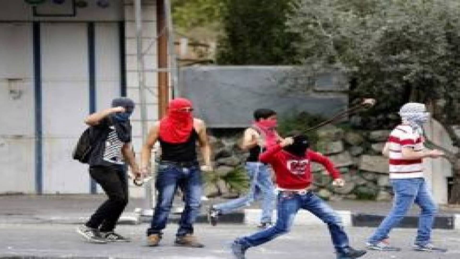 نحو 86% من الشباب يرون أن الأحداث الحالية عفوية