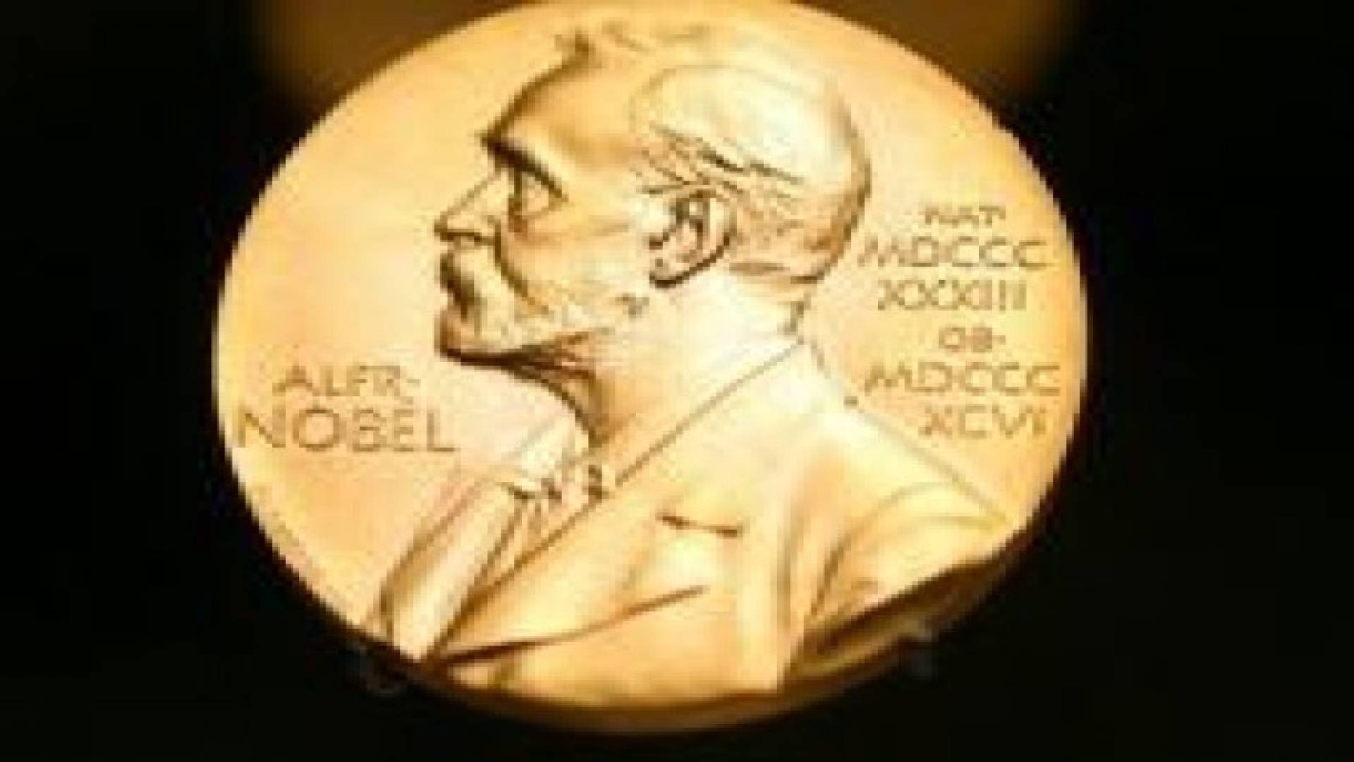 مأدبة ملكية في السويد لتكريم الفائزين بجائزة نوبل