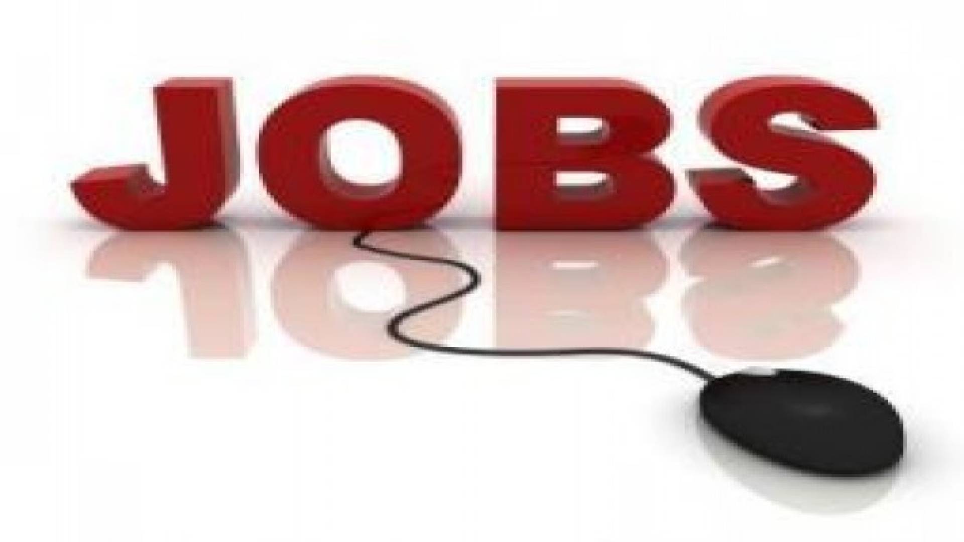 وزارة العمل تعلن عن توفر فرص عمل لحملة البكالوريوس والدبلوم