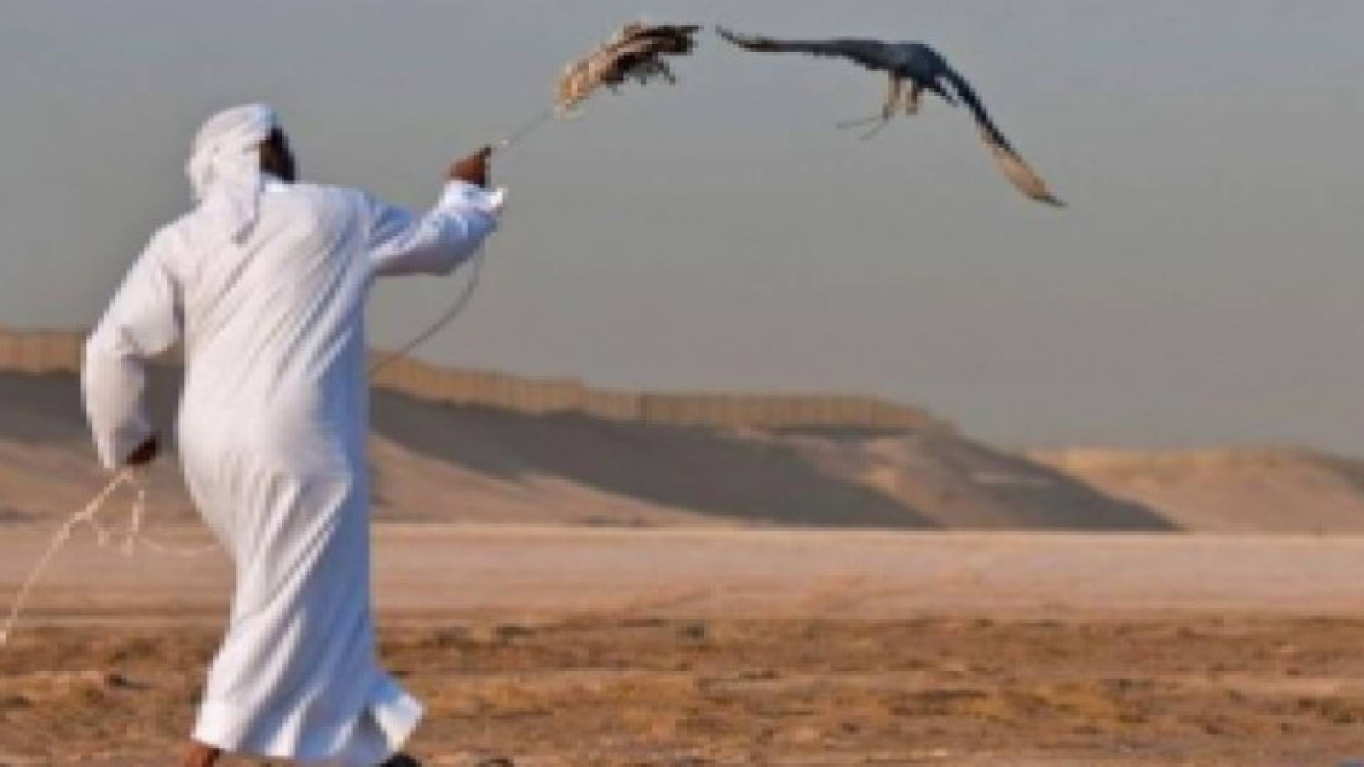 العراق: اختطاف 16 صيادا قطريا في صحراء النجف