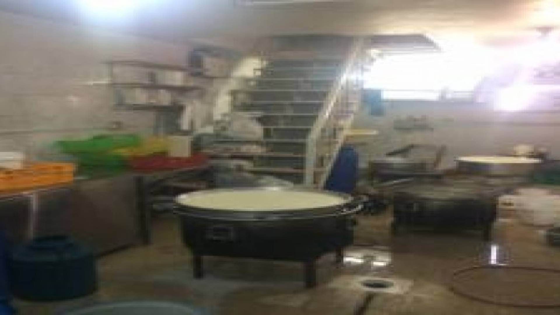 بالصور: ضبط مصنع بعين الباشا يستخدم مادة "الفورمالدهايد"