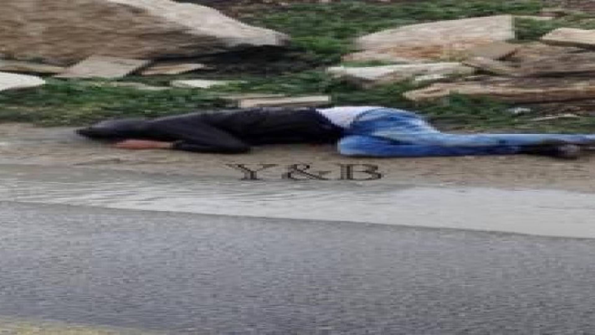 شهيد فلسطيني برصاص الاحتلال الإسرائيلي .. صور