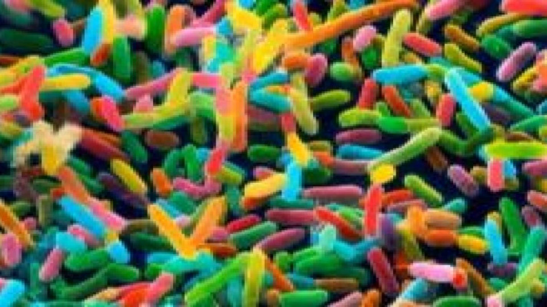 علماء روس يكتشفون علاقة بين بكتيريا الأمعاء والنوع الثاني من السكري