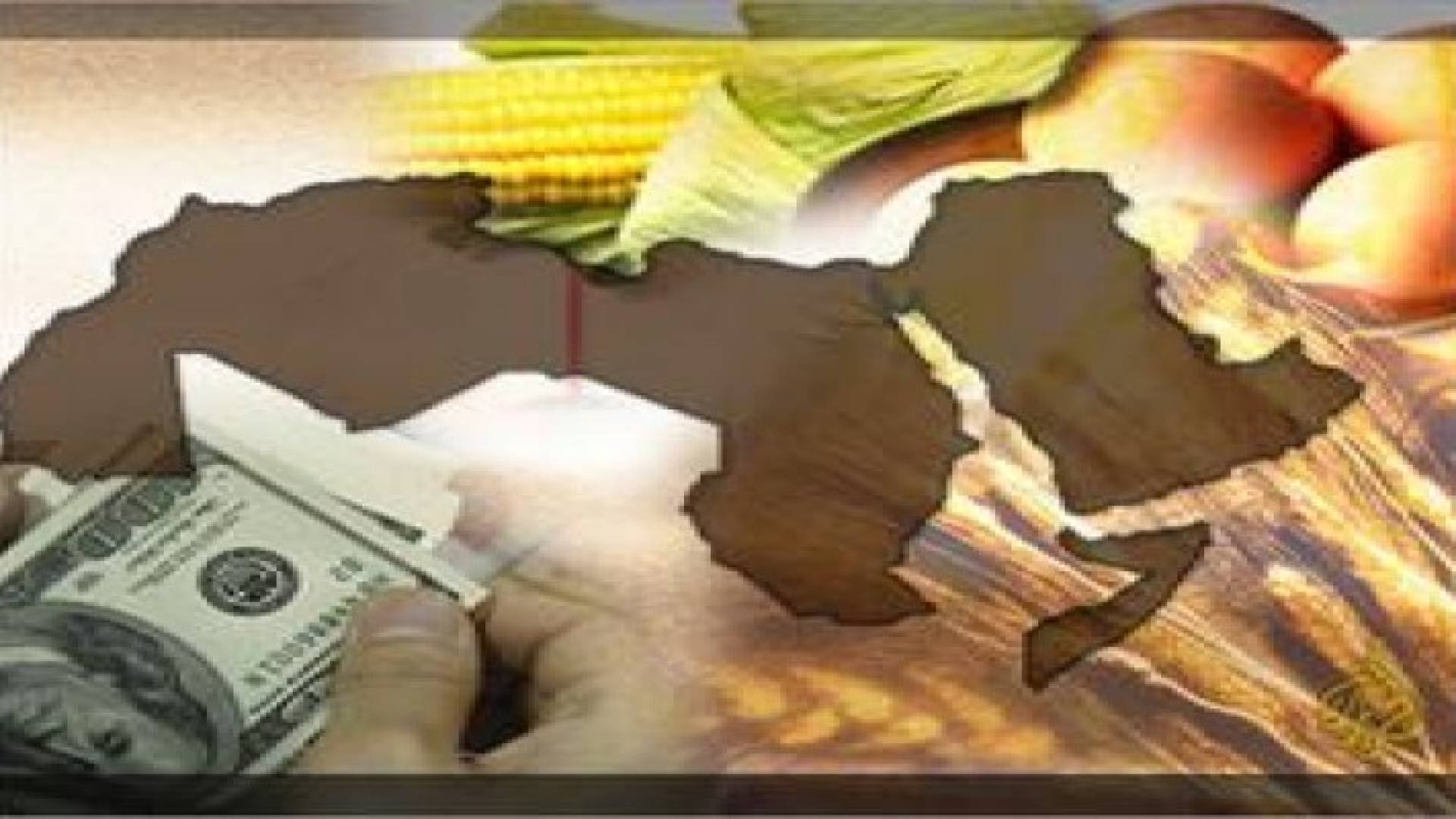 الفجوة الغذائية في الدول العربية تصل 60 مليار دولار عام 2018