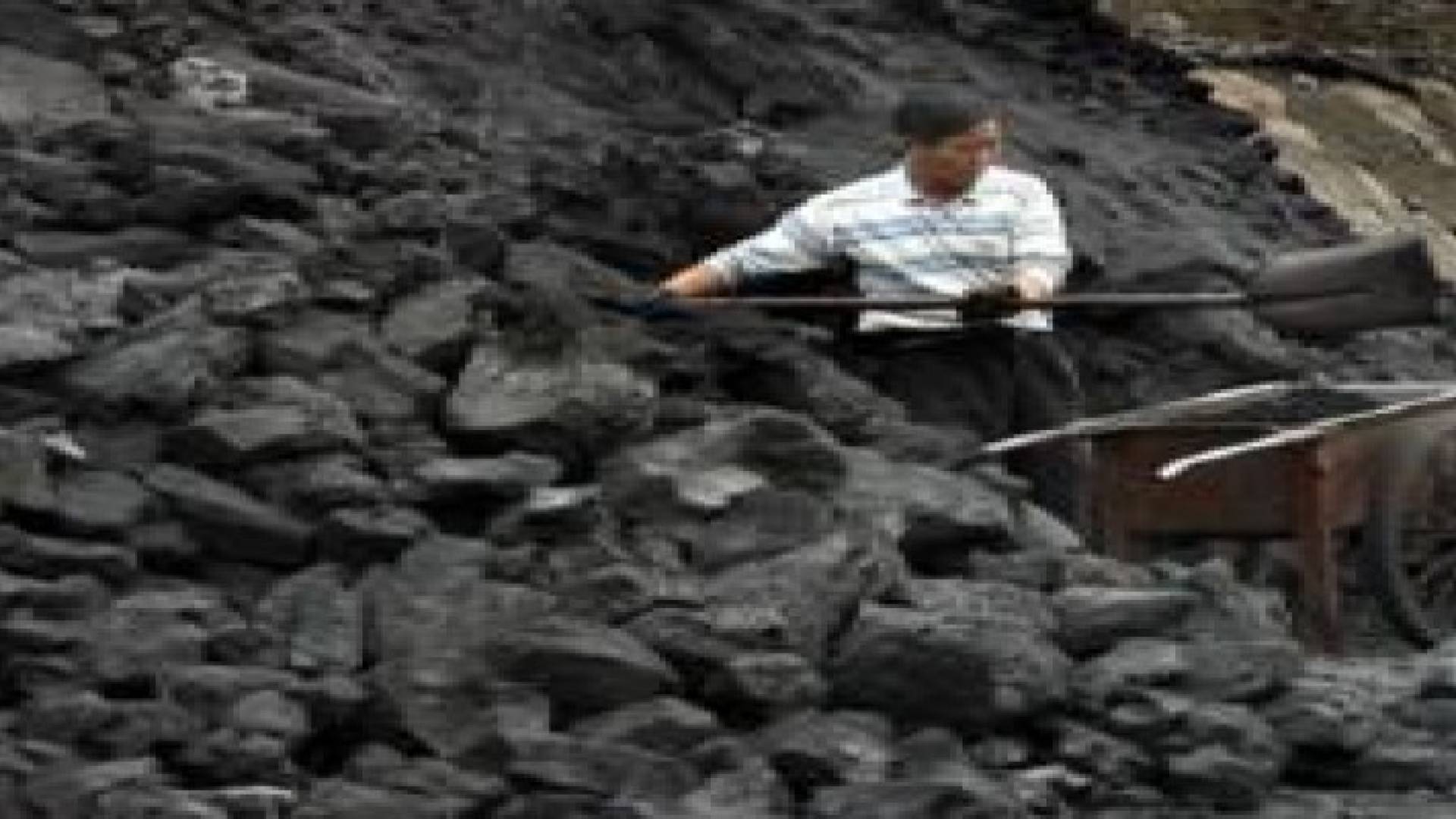 الصين تخفض الطلب على الفحم بنحو 500 مليون طن