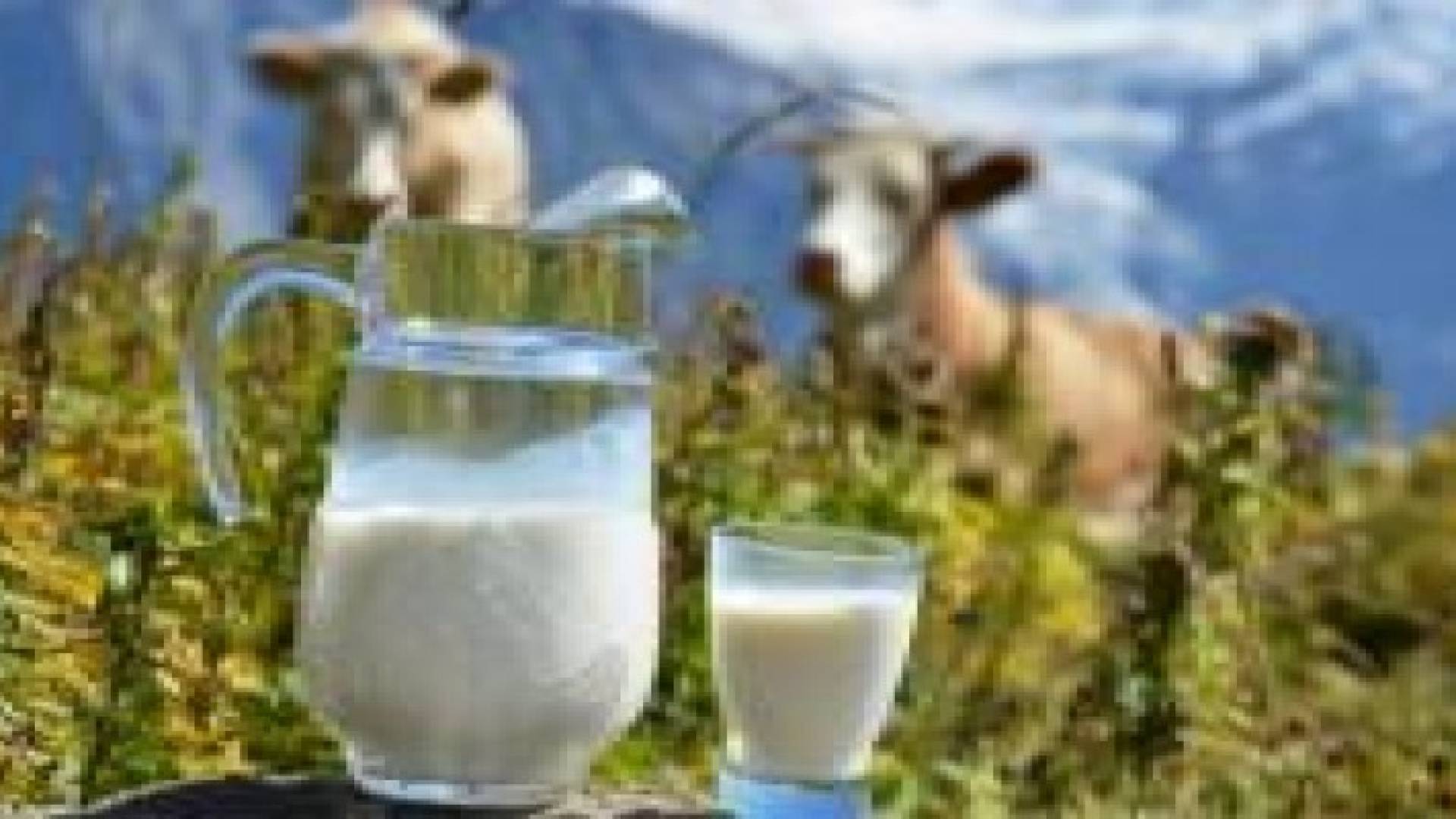 علماء: الحليب قد يسبب مرض باركنسون