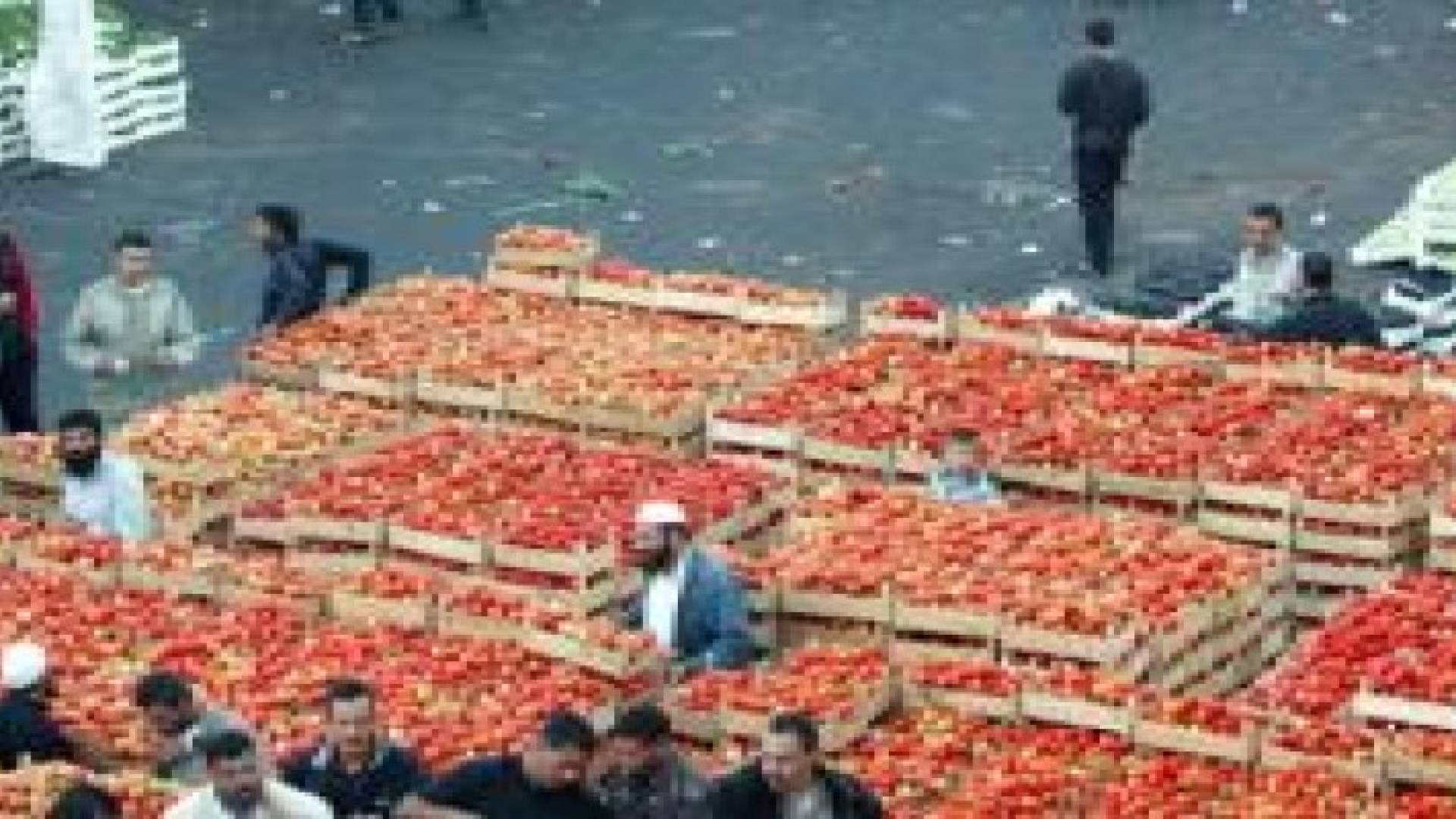 ارتفاع اسعار الخضار في سوق الجملة المركزي