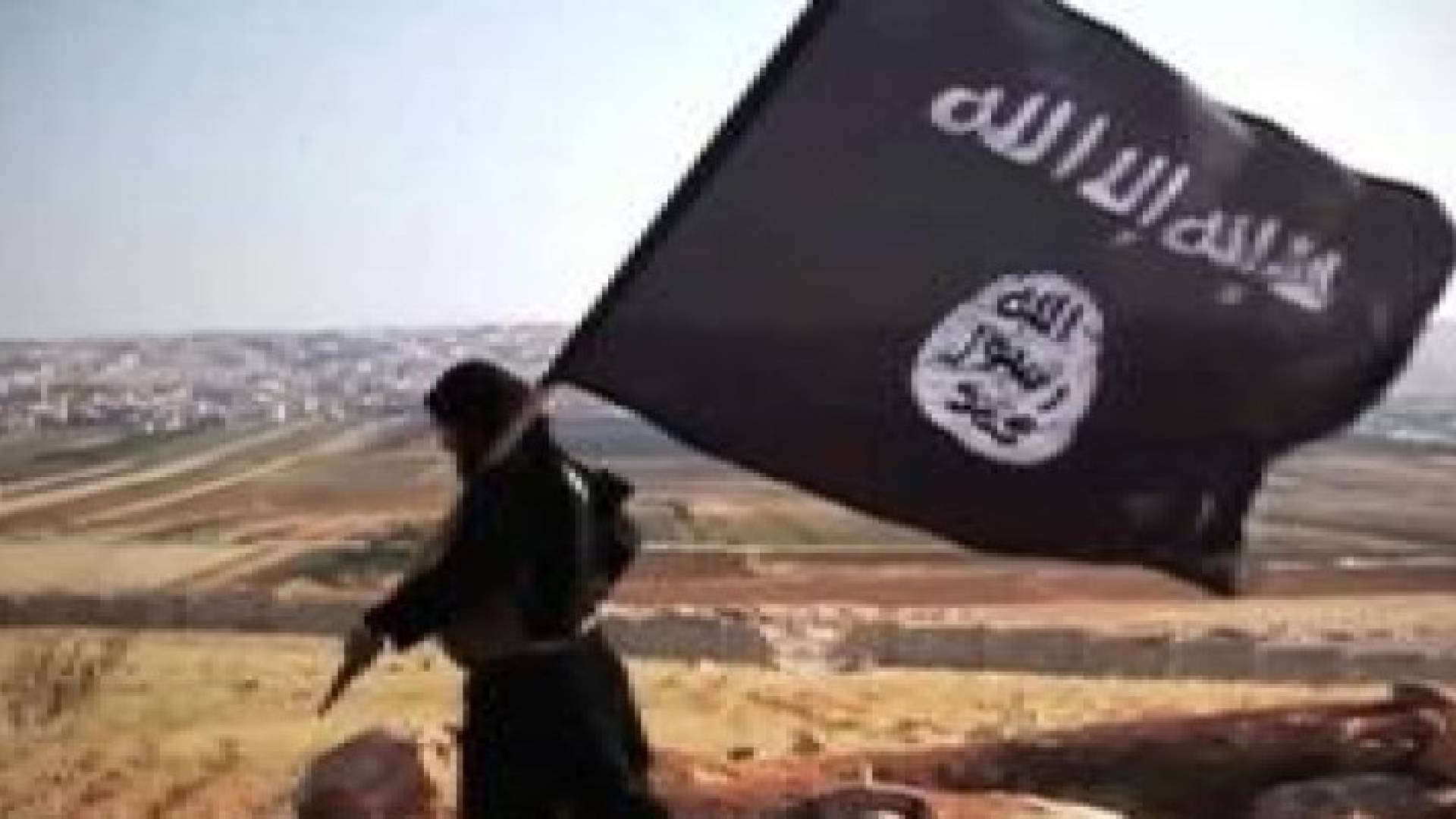 تنظيم داعش الارهابي خسر 14% من الاراضي التي يسيطر عليها في 2015