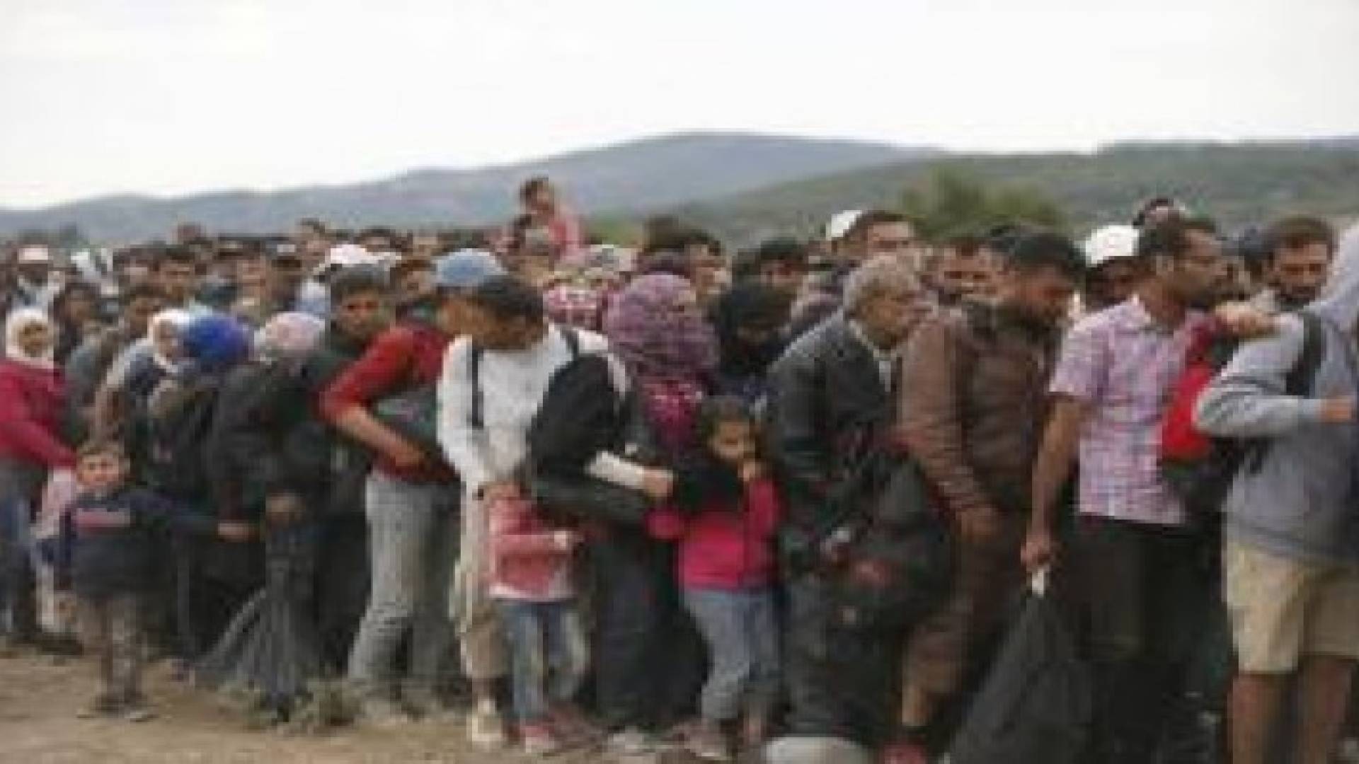 مليون لاجيء فروا الى اوروبا هذا العام