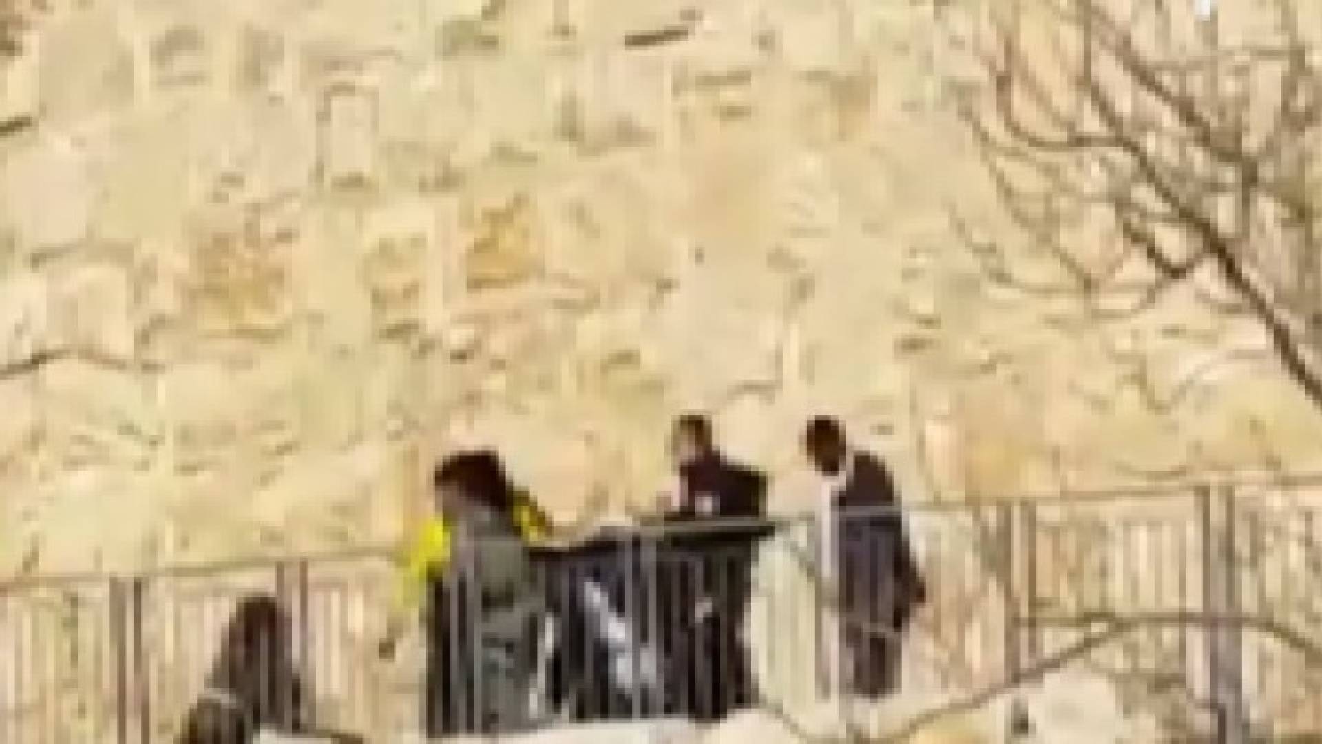 مستوطنون يعتدون على شهيدي القدس بالعصي والركل