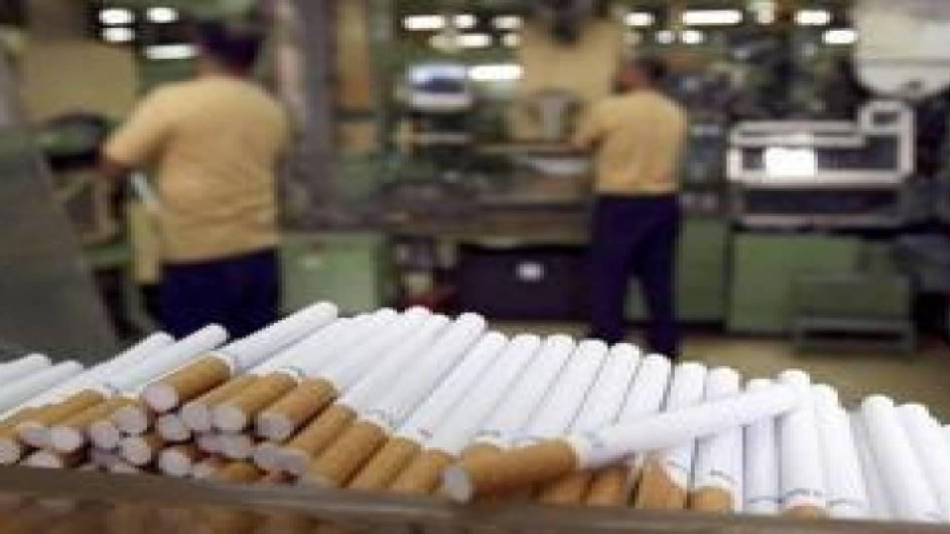 شركات التبغ الكبرى على وشك تلقي ضربة قاصمة