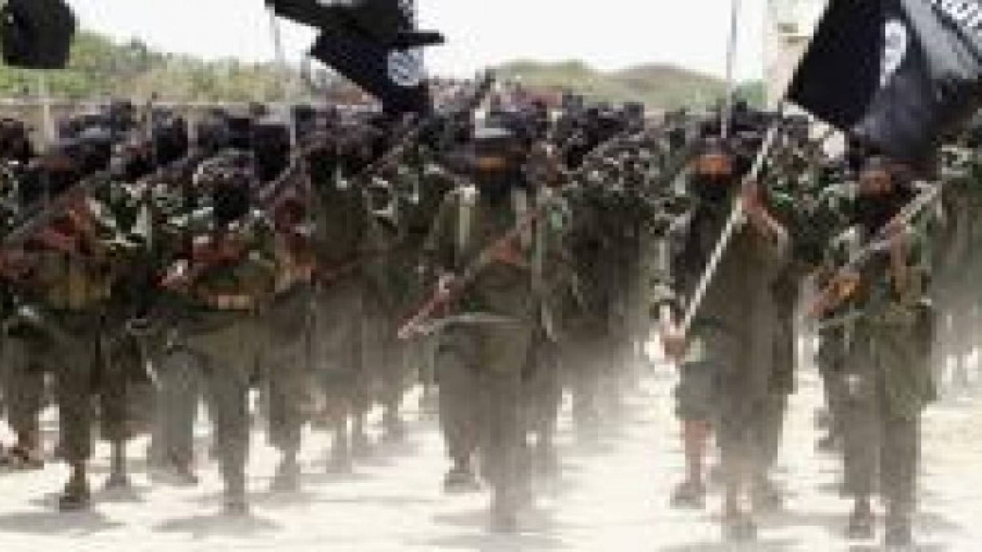 العراق : اعتقال 40 عنصرا من "داعش" الارهابي