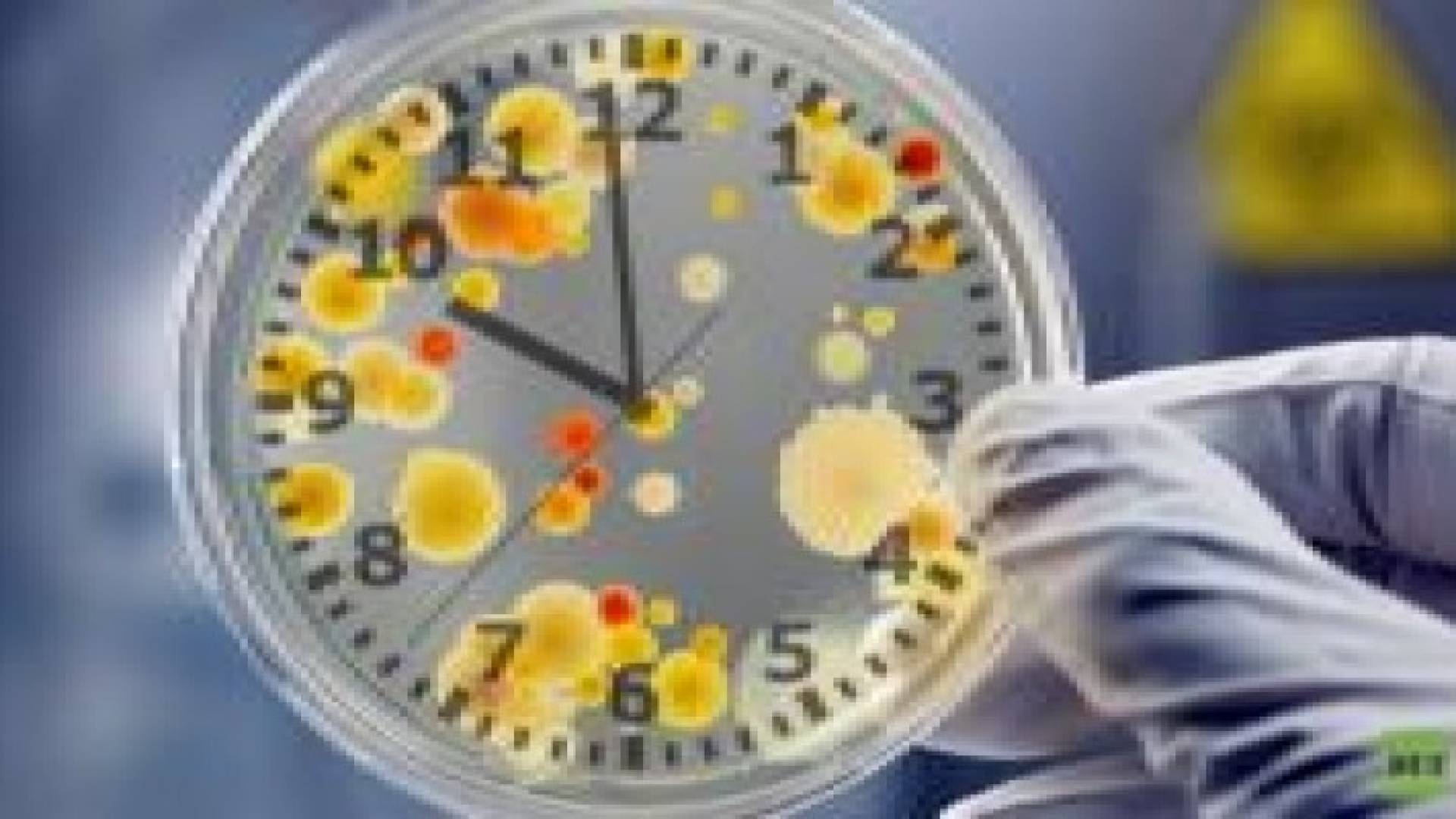 الساعة البيولوجية لباكتيريا تساعد على العلاج باستخدام مضادات الحيوية