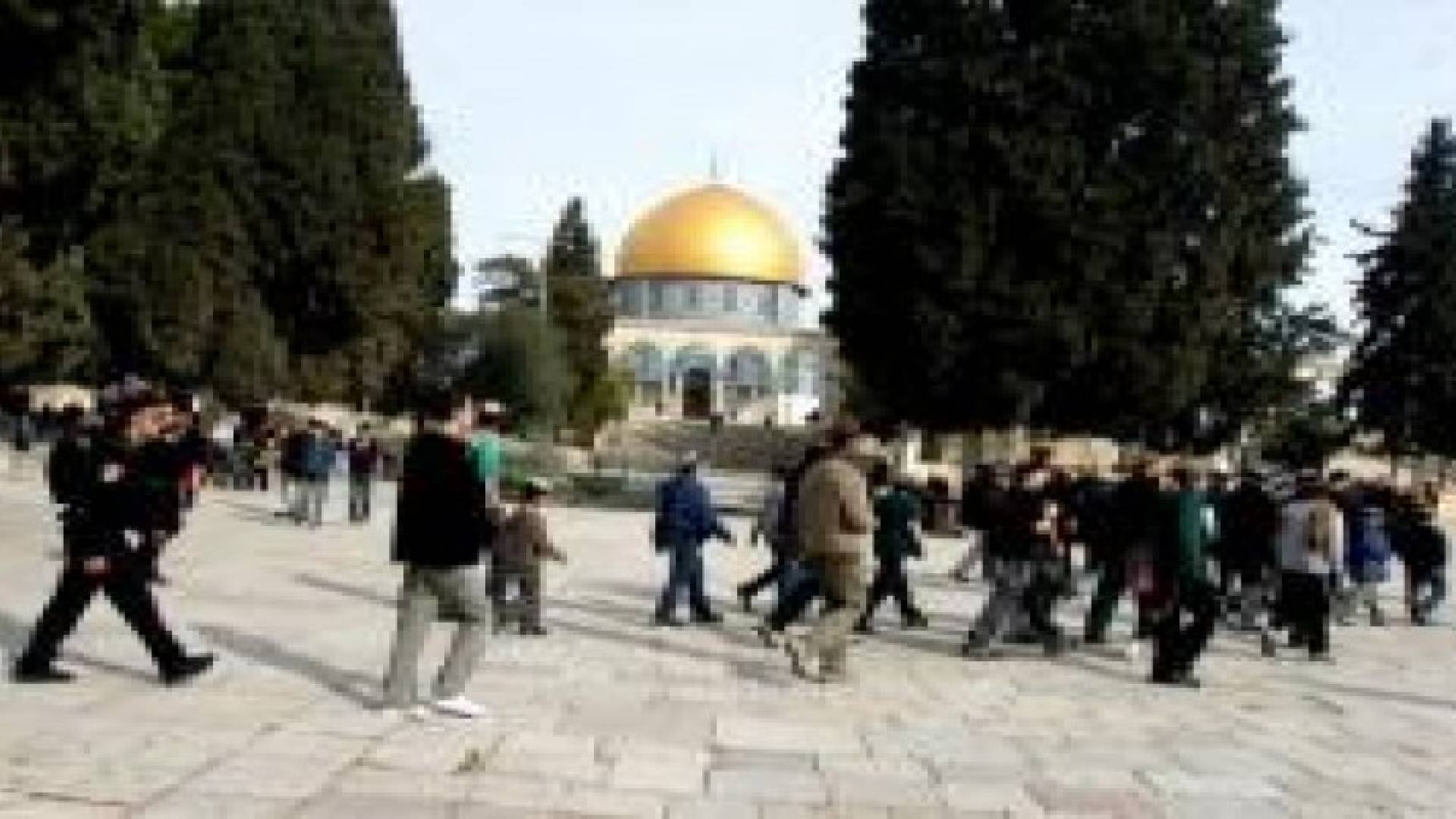 مستوطنون متطرفون يقتحمون باحات المسجد الأقصى