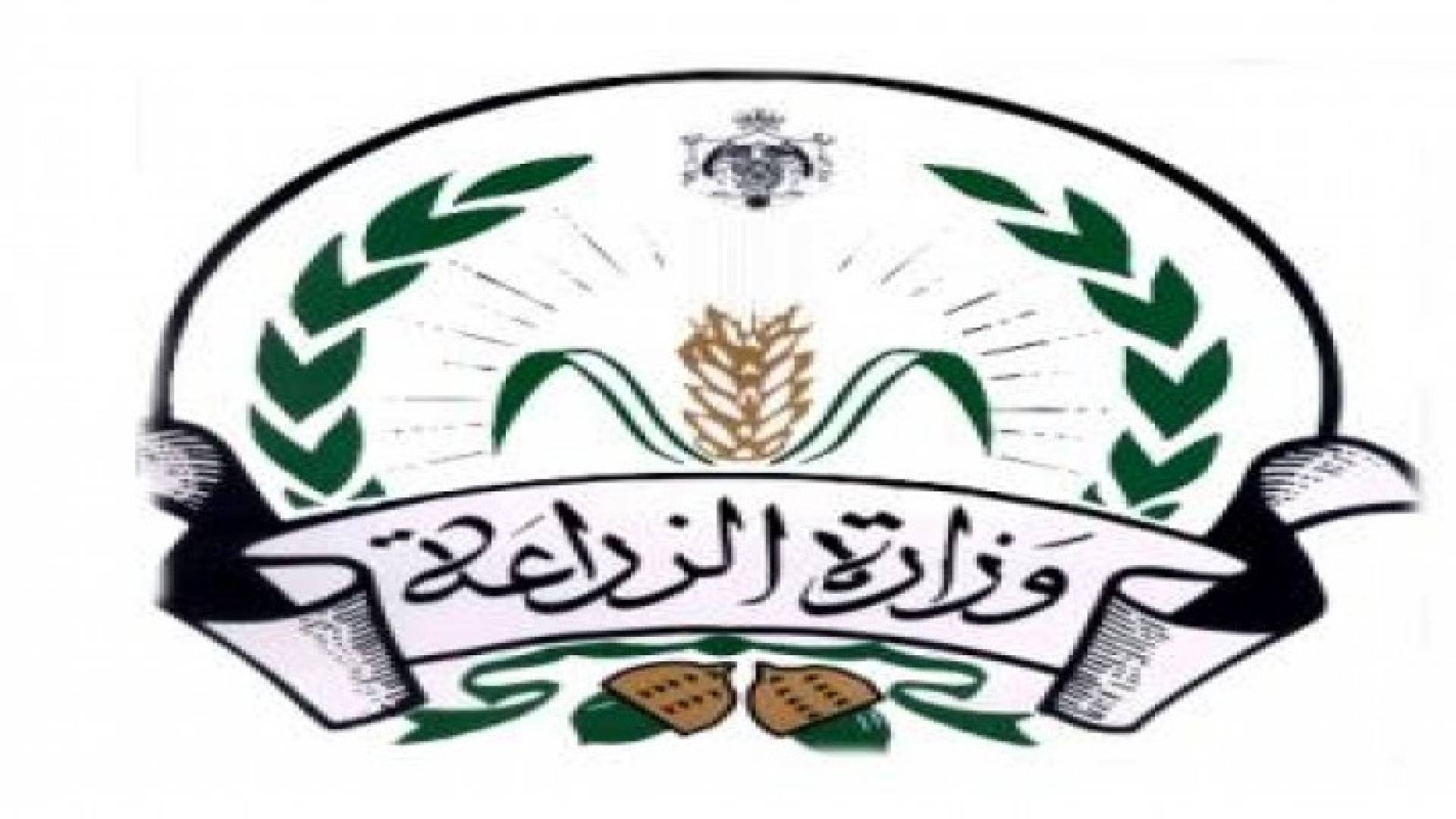 "الزراعة" تنصح المزارعين بالتحوط لحالة الصقيع المتوقعة