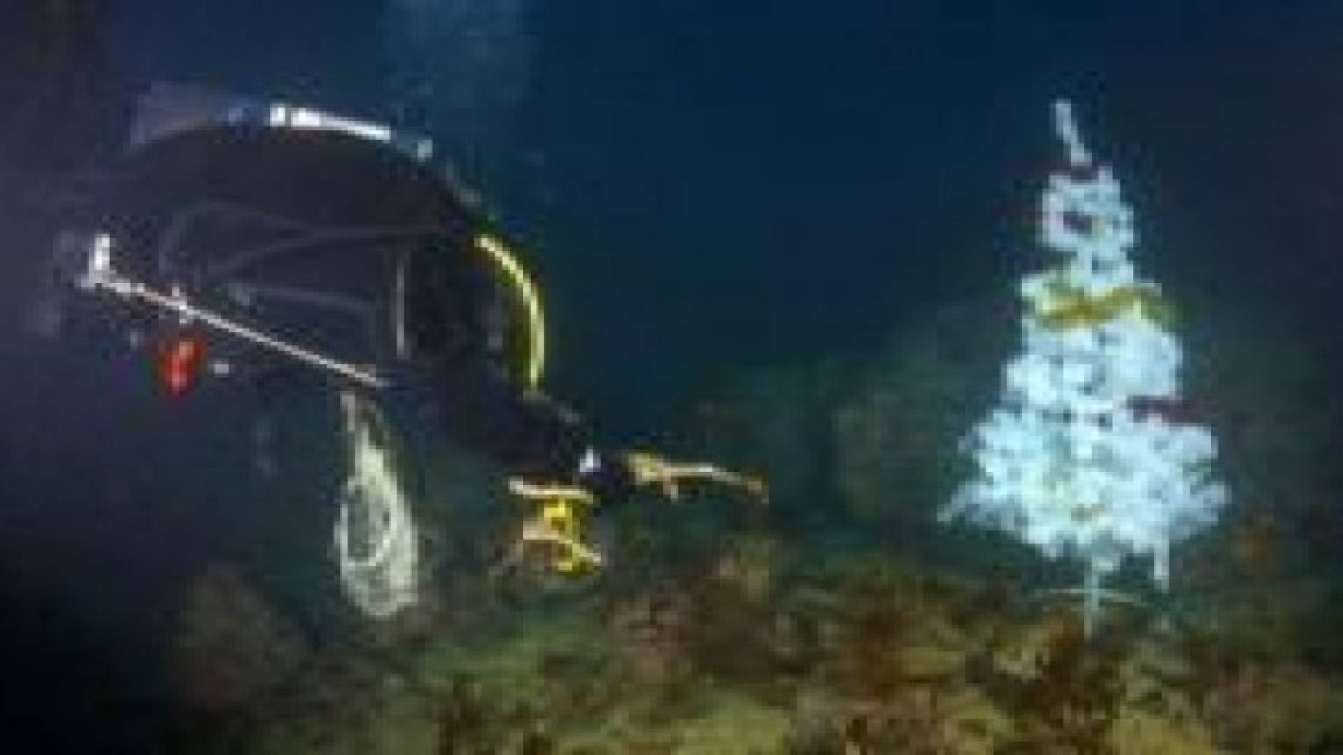 غطاسون من أسطول المحيط الشمالي ينصبون شجرة عيد الميلاد على عمق 20 مترا