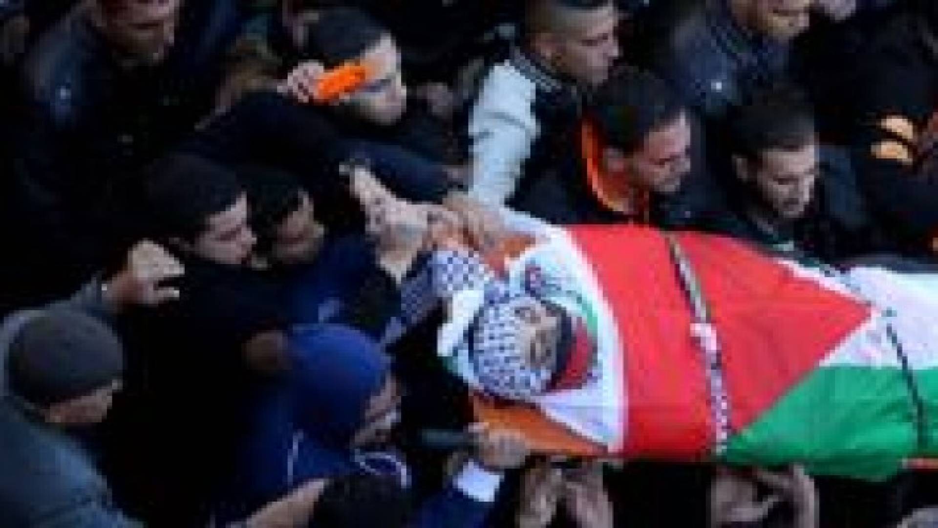 165 شهيدا برصاص الاحتلال خلال عام 2015