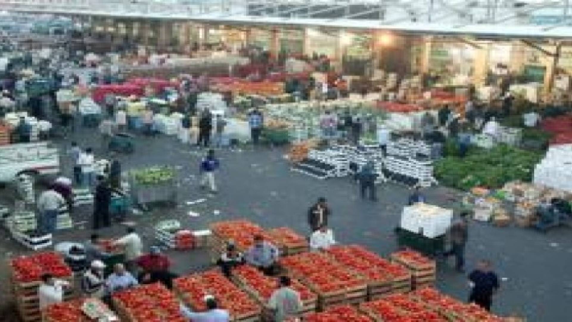 العدوان يدعوا المواطنين لعدم التهافت على المنتجات البستانية