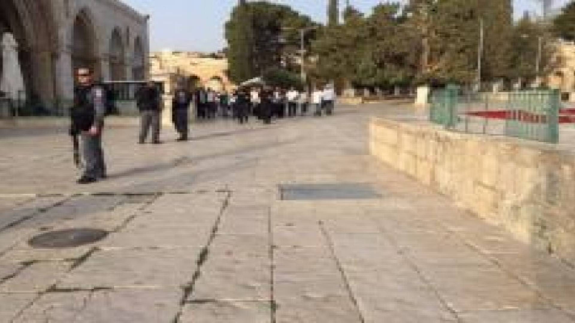 34 شهيدا بالقدس وتصعيد خطير بالأقصى خلال 2015