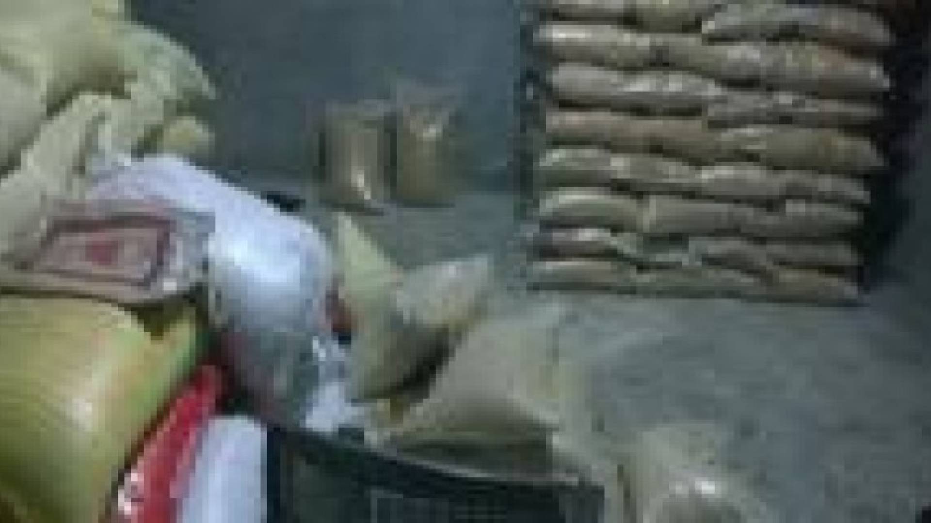 الغذاء والدواء تحول متلاعب بتواريخ انتاج 25 طن أرز و 12 طن سميد للقضاء