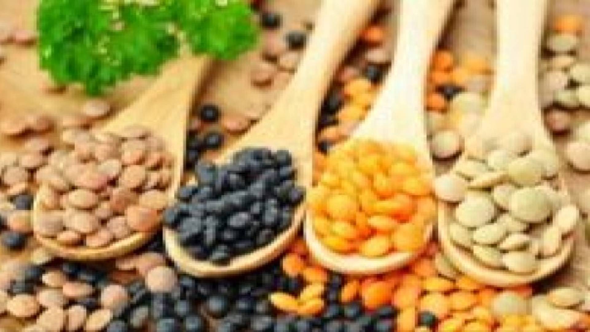 العدس.. موائد الأغنياء تحتفي بـ"لحم الفقير"