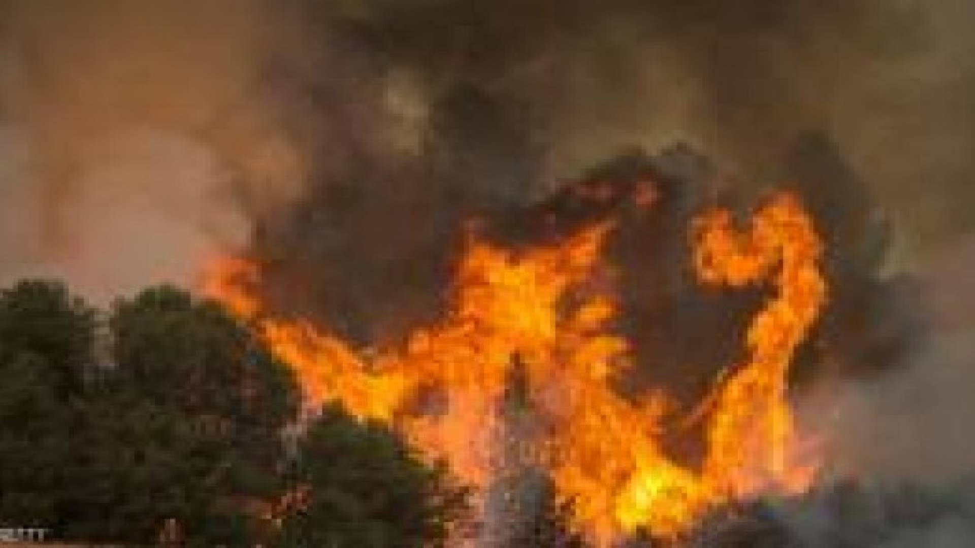 أميركا.. الحرائق التهمت 10 ملايين فدان في 2015