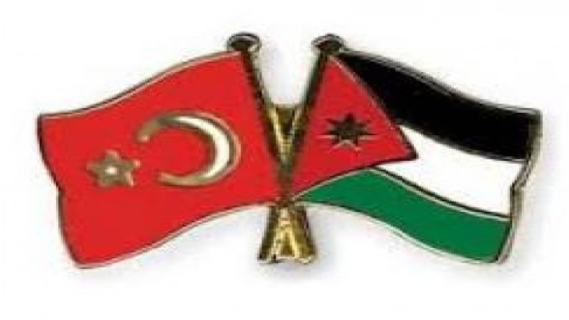 الاردن وتركيا يبحثان تعاونهما في القضاء الدستوري