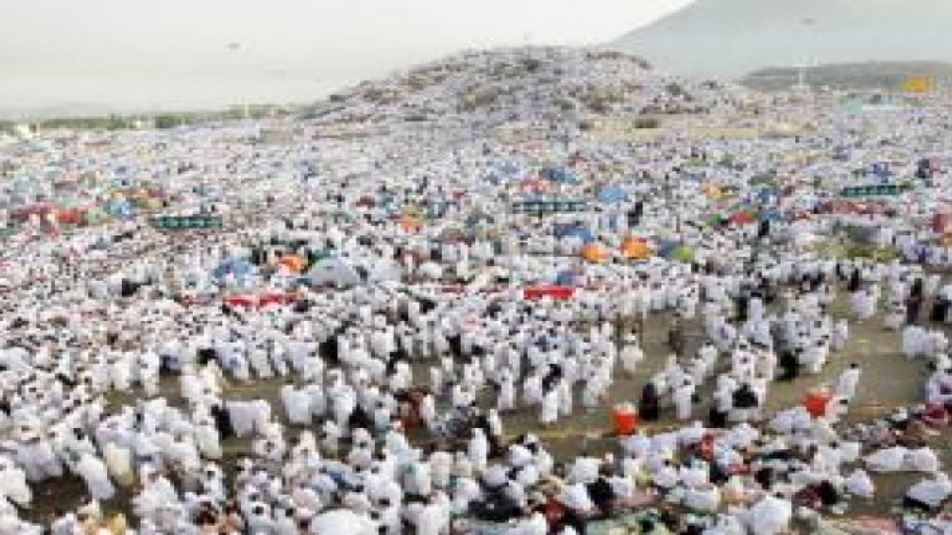 تخفيض اعداد الحجاج الاردنيين هذا العام بنسبة 20 %