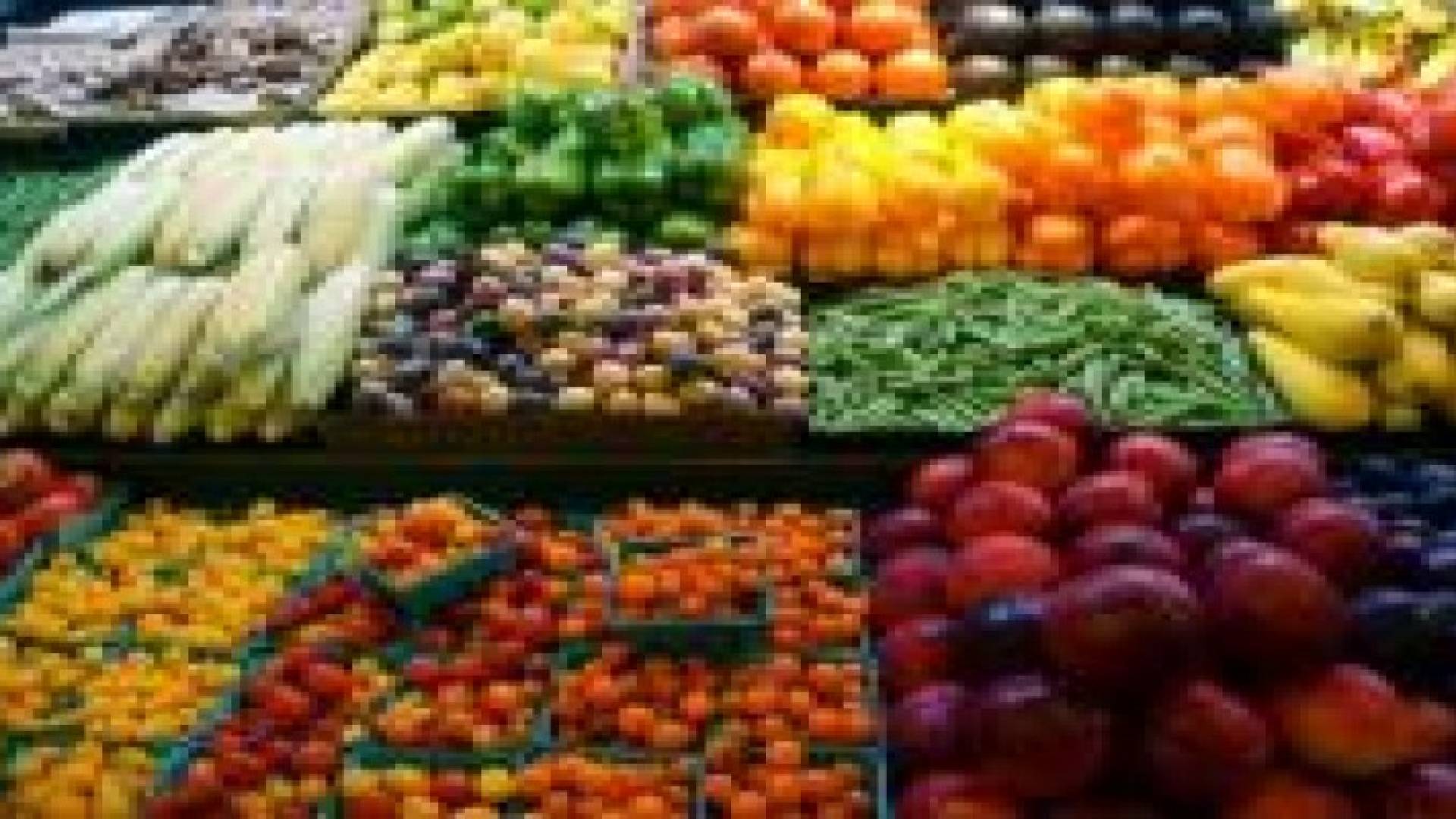 783 ألف طن حجم الصادرات الوطنية من الخضار والفواكه العام الماضي