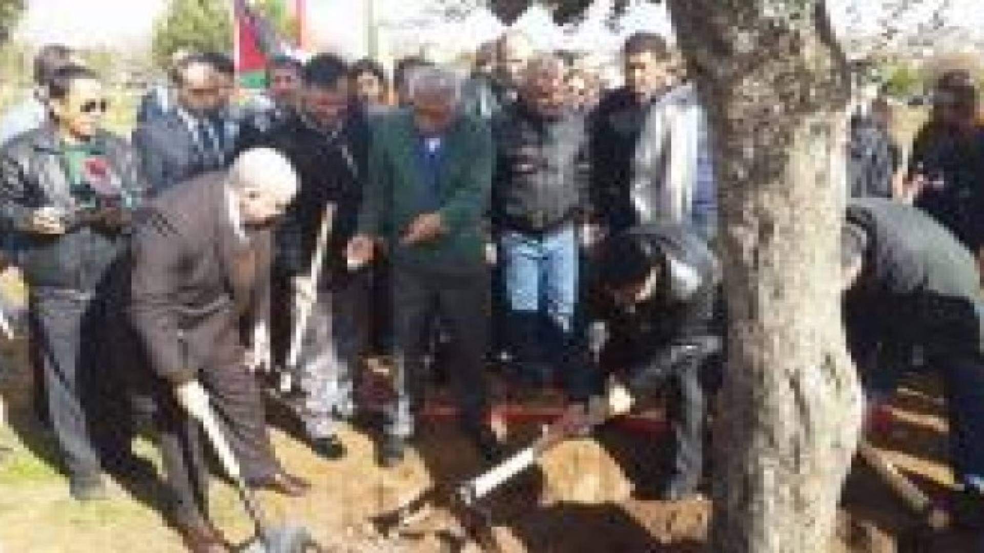 امانة عمان والسفارة الاندونيسية تحتفلان بيوم الشجرة