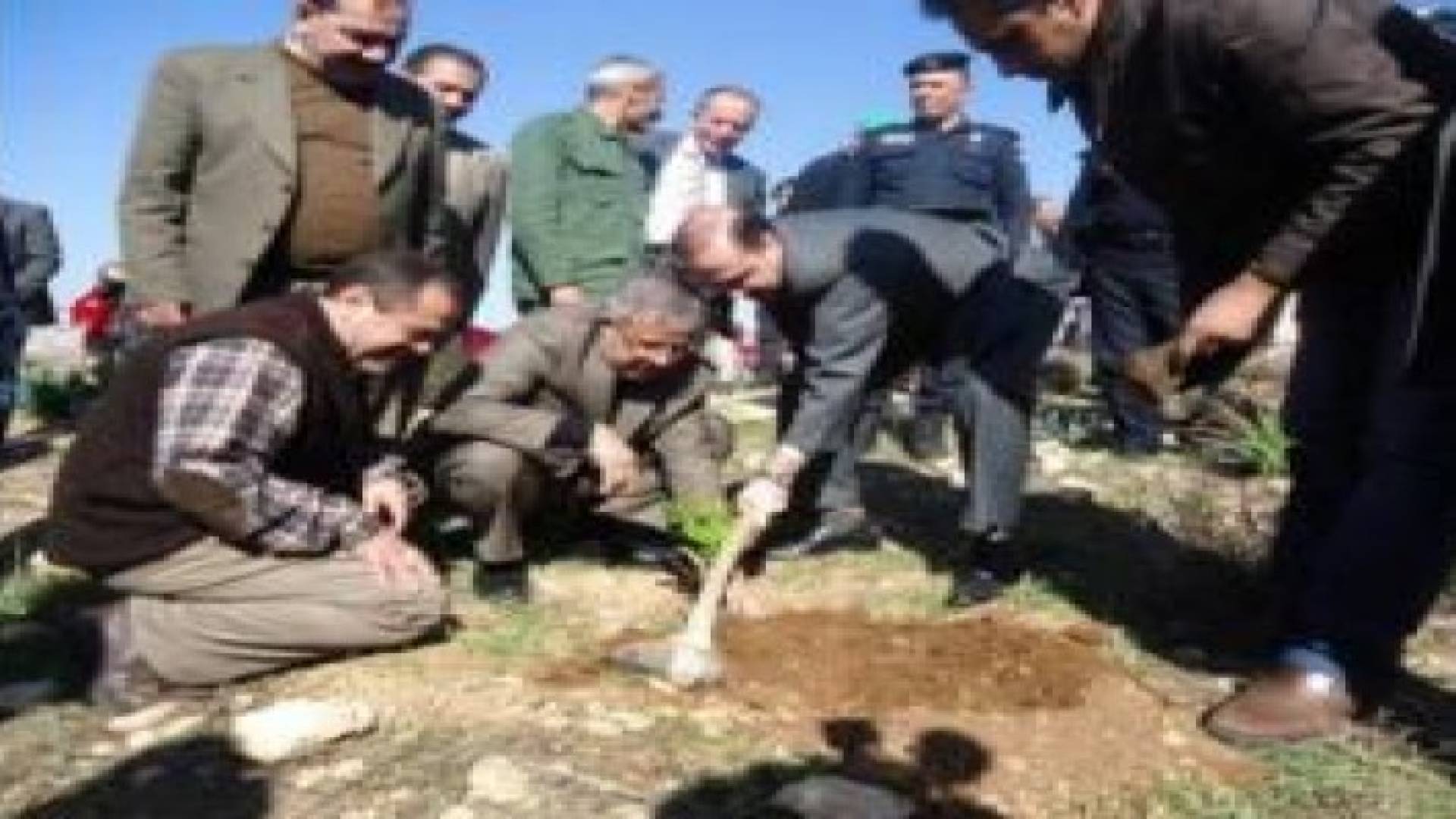 المومني والزعبي يؤكدان ضرورة وقف الاعتداء على الثروة الحرجية