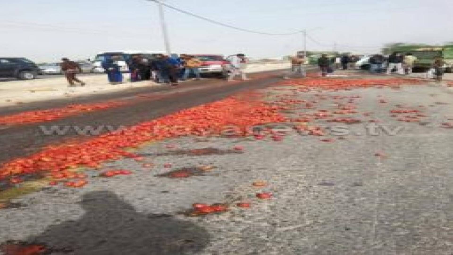 مزارعون يعتصمون ويلقون محصول البندورة على الشارع بغور المزرعة