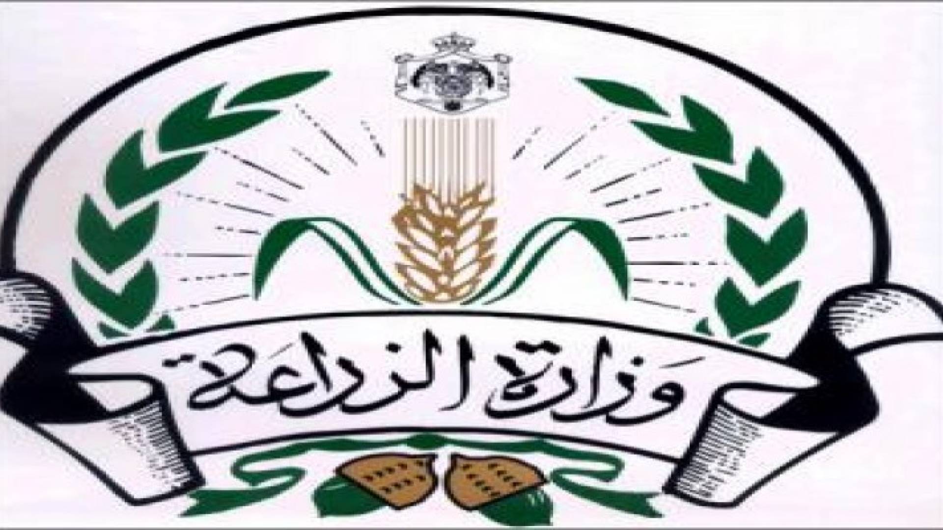 ازالة 162 حالة تعديات حرجية نهاية العام الماضي