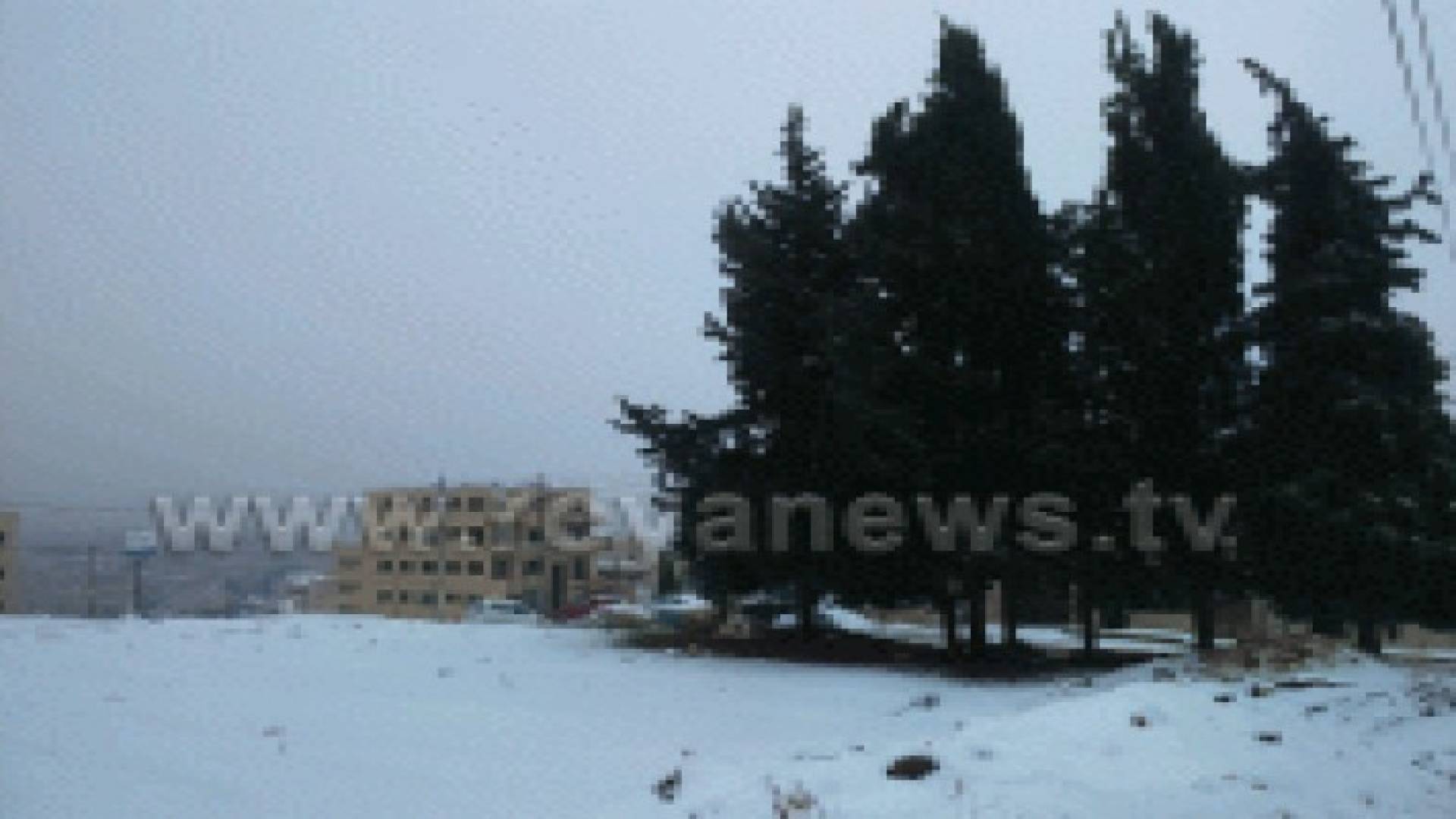 الثلوج تزور الأردن خلال الأسبوع القادم